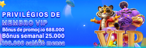 plataforma_界面
